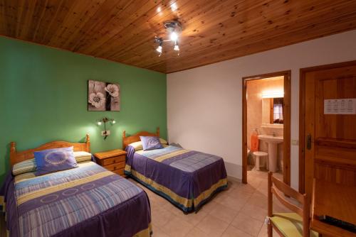 two beds in a room with green walls and wooden ceilings at Casa Rural Besolí in Areu
