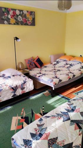 1 dormitorio con 2 camas y alfombra verde en Barázda Apartman en Berekfürdő