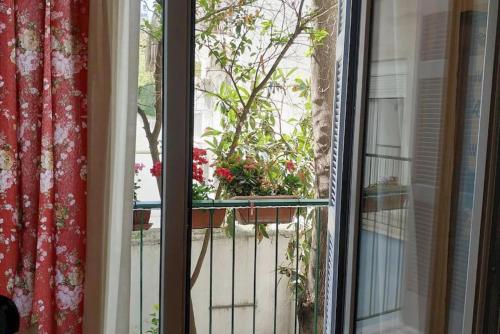 una finestra con una pianta in una pentola sul balcone di Still got the blues ad Atene
