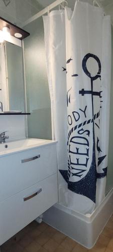 a bathroom with a sink and a mirror at Palm Appart in Biscarrosse-Plage
