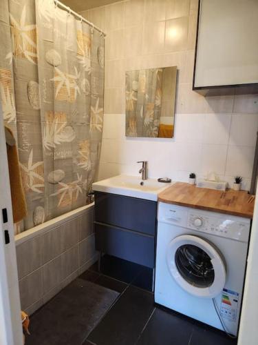 uma casa de banho com uma máquina de lavar roupa e um lavatório em Appartement T4 très spacieux em Grenoble