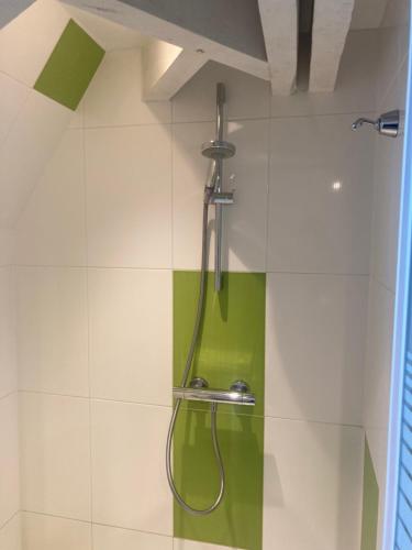 a shower in a bathroom with a green at Le Nid de Bercé in Jupilles
