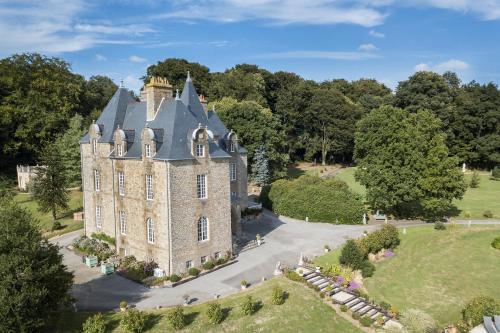 an aerial view of a castle with trees at Château de Montbrault in Fleurigné