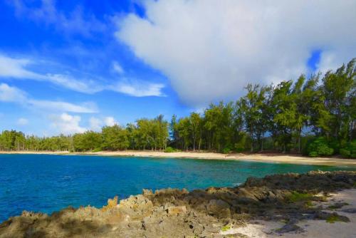 a beach with blue water and trees in the background at Fantastic Location on the golf course near the beach in Kahuku