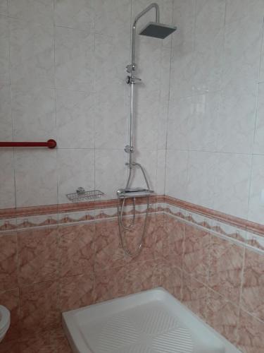 y baño con ducha y aseo. en Guesthouse Lula 2 en Tepelenë