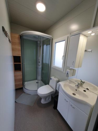 La salle de bains est pourvue d'une douche, de toilettes et d'un lavabo. dans l'établissement GM House, mobile house near Kolpa river, à Metlika
