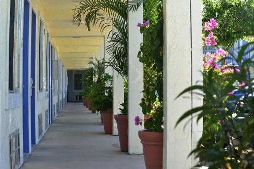 a hallway with potted plants on the side of a building at Americas Best Value Inn Bradenton-Sarasota in Bradenton