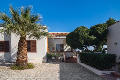 a palm tree in front of a white house at Laguna dei Fenici in Birgi Vecchi