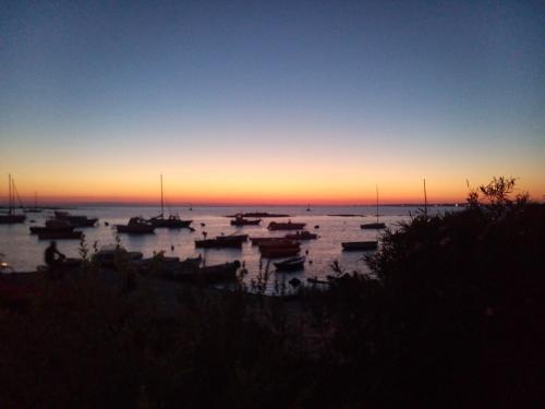 a group of boats sitting in the water at sunset at Casa Vacanze Donn'Anna in Porto Cesareo