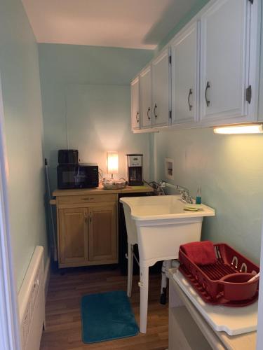 a small kitchen with a sink and a microwave at Cozy Suite - Pet friendly, Beach Side apts in Norfolk