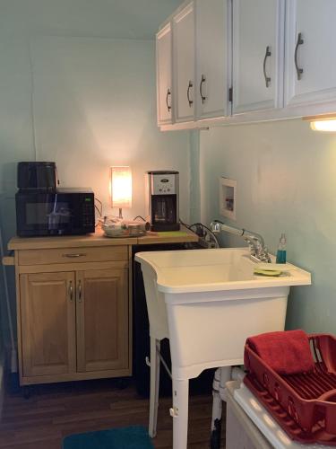 a kitchen with a sink and a microwave at Cozy Suite - Pet friendly, Beach Side apts in Norfolk
