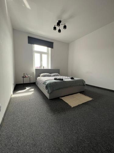 Cozy room between Kazimierz and the city center