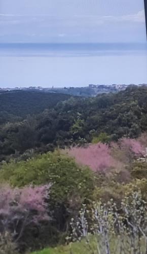 Foto ΠΑΝΟΡΑΜΑ 1