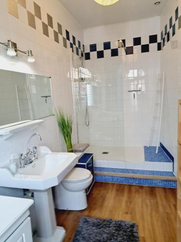 une salle de bain avec un lavabo, des toilettes et une douche dans l'établissement Le Jaurès, à Narbonne