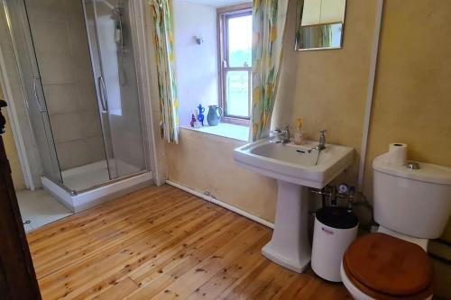 y baño con lavabo, aseo y ducha. en Sweet Meadow A delightful romantic thatched cottage by river Shannon on 4 acres is for peace party family or work from home, en Rooskey