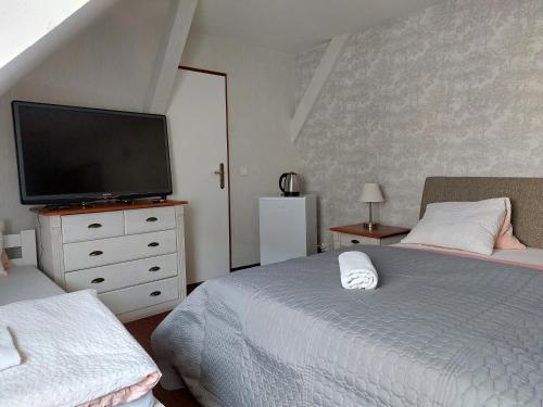 a bedroom with two beds and a flat screen tv at Penzion U Šelongů in Jindrichuv Hradec