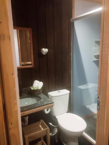 La salle de bains est pourvue de toilettes et d'un lavabo. dans l'établissement Bom Jardim Pousada, à Bom Jardim da Serra