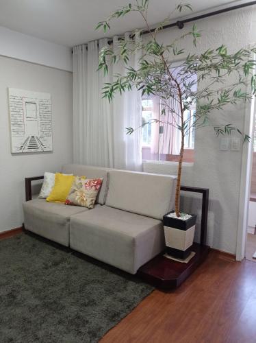 uma sala de estar com um sofá e uma árvore em APTO COM VARANDA - 5KM DO AEROPORTO BSB - Nucleo Bandeirante em Brasília