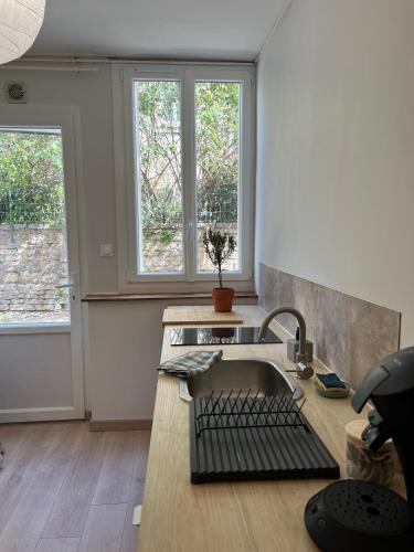 une cuisine avec un évier et deux fenêtres dans l'établissement Romarin - studio BSB / Godrans, à Dijon