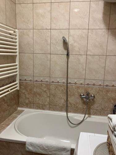 Das Bad ist mit einer Badewanne mit einer Dusche ausgestattet. in der Unterkunft Stan na dan Centar Banja Luka in Banja Luka