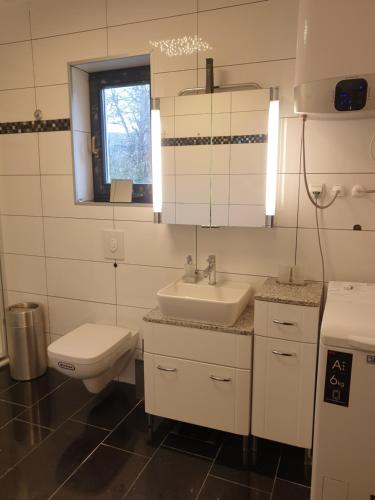 a white bathroom with a sink and a toilet at Design Apartments Tomelana in Ličko Petrovo Selo