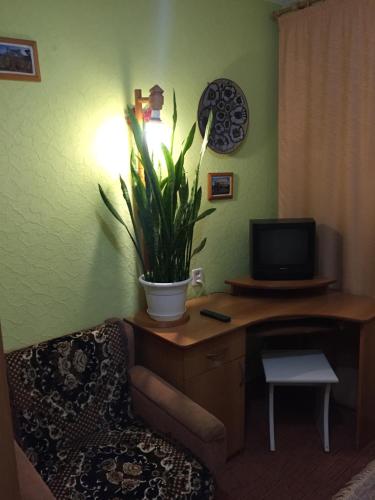 a living room with a desk with a tv and a plant at Бюджетные Комнаты посуточно 5мин McDonalds WI-FI 15мин до центра города in Ternopilʼ
