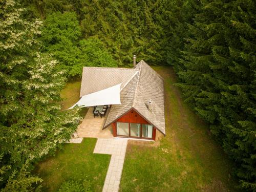 una vista aérea de una pequeña casa en el bosque en Čebelnk: sanjska hišica 4 km od Bleda, en Lesce