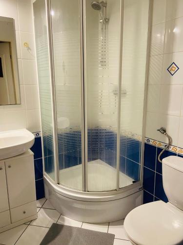 La salle de bains est pourvue d'une douche et de toilettes. dans l'établissement Centrum Apart, à Cracovie