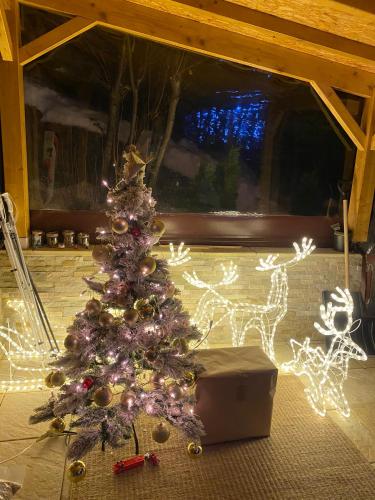 Φωτογραφία από το άλμπουμ του Chalet Alpin suisse σε Veysonnaz