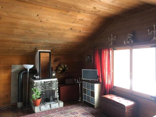 TV a/nebo společenská místnost v ubytování Chalet Alpin suisse
