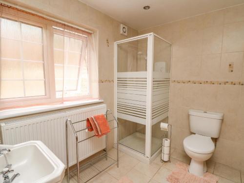 a bathroom with a toilet and a sink at Cefn Cottage in Llangurig