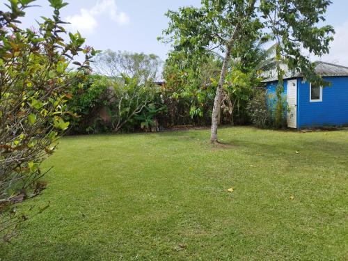 un patio con una casa azul y un árbol en Bungalow indépendant à Dalciat Baie-Mahault en Baie-Mahault