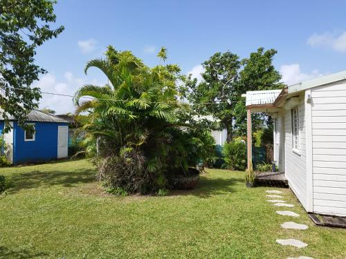 ein Haus mit einer Palme neben einem Hof in der Unterkunft Bungalow indépendant à Dalciat Baie-Mahault in Baie-Mahault