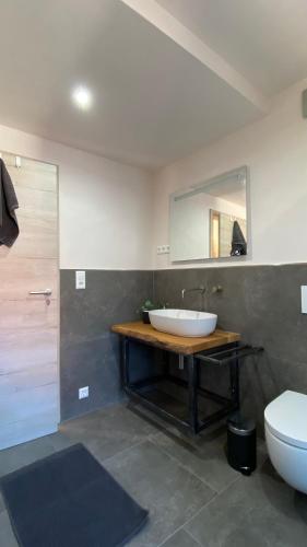 a bathroom with a sink and a toilet and a mirror at Heimatliebe Erfweiler Wohnung DREI in Erfweiler