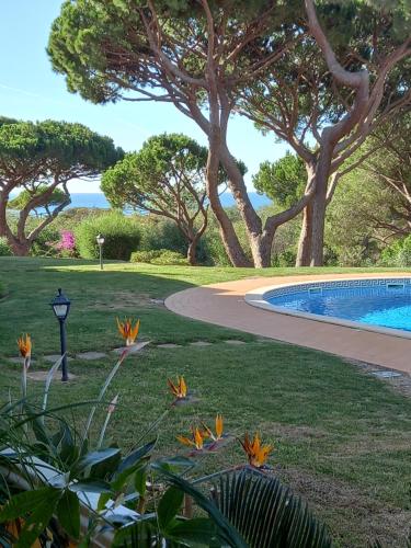 een tuin met een zwembad en bomen bij PARADISE ON THE BEACH in Albufeira