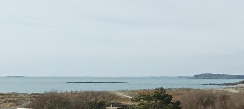 Appartement vue mer exceptionnelle à 100m très belle plage
