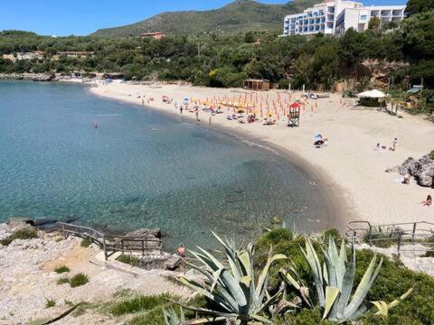 a beach with a bunch of people in the water at Villa Stefania in Marina di Camerota