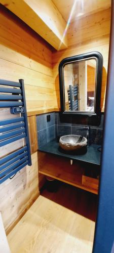 a bathroom with a sink and a mirror at Chalet l'Appel de la Forêt in Gérardmer