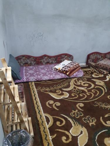 Ein Sitzbereich in der Unterkunft Bedouin experiences