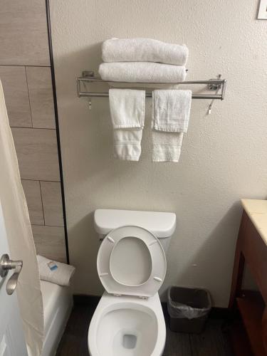La salle de bains est pourvue de toilettes blanches et de serviettes. dans l'établissement American Inn & Suites, à Ferndale