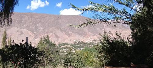 a view of a mountain with a city and trees at La Calabaza Cabaña in Tilcara