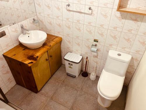 La salle de bains est pourvue d'un lavabo et de toilettes. dans l'établissement Ruka Pucón Hostel, à Pucón