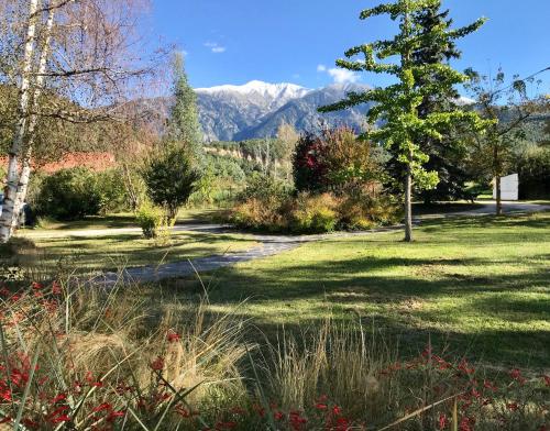 ogród z drzewem i górami w tle w obiekcie Logement classé 4 étoiles avec SAUNA et vue sur le Canigou w mieście Fuilla