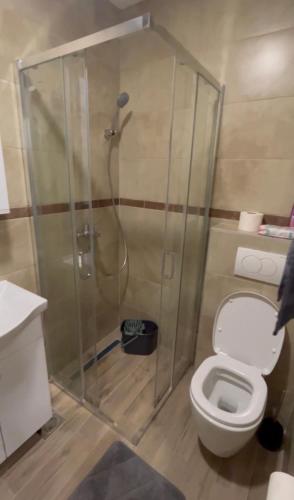 y baño con ducha y aseo. en Zlatiborski užitak, en Zlatibor