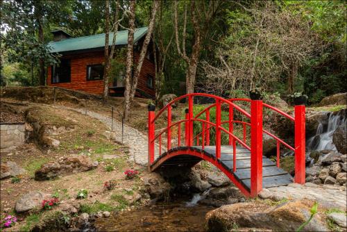 Gallery image of Unicorn Lodge: Direct Riverfront : Unique Experience in San Gerardo de Dota