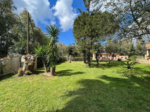 a yard with trees and grass with a house in the background at Casal Baratz in Santa Maria la Palma