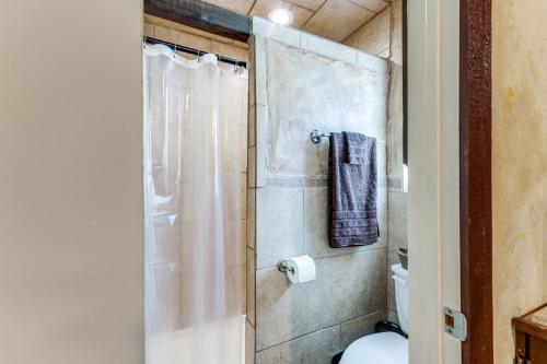 a bathroom with a shower and a toilet at Hide Away Guest House in Azle
