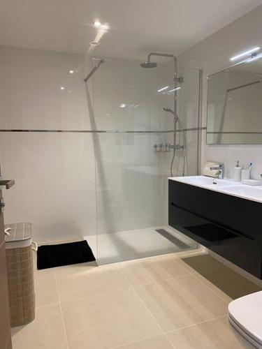 une salle de bain avec une douche en verre et un lavabo dans l'établissement T2 neuf 4 personnes avec piscine/terrain tennis, à Porto-Vecchio