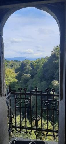 an open window with a view of a forest at Casa Lale in Corchiano