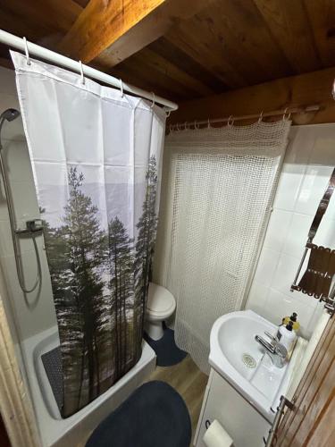 a bathroom with a shower and a sink and a toilet at Aqua Faház in Mesteri